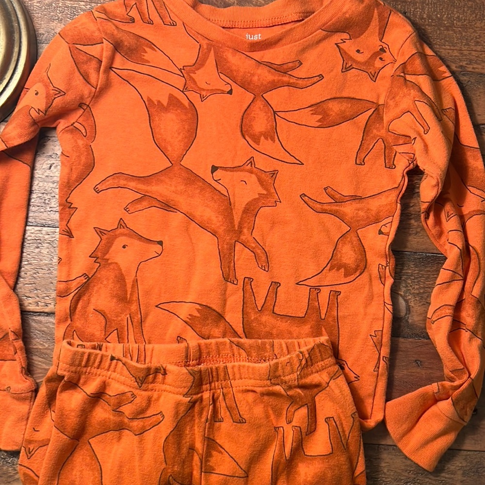 5T Snug Fit Cotton Fox Pajamas